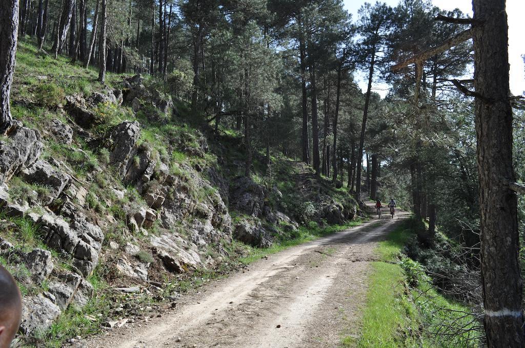 Los Nidos De Santa Maria Arroyo Frio Dış mekan fotoğraf