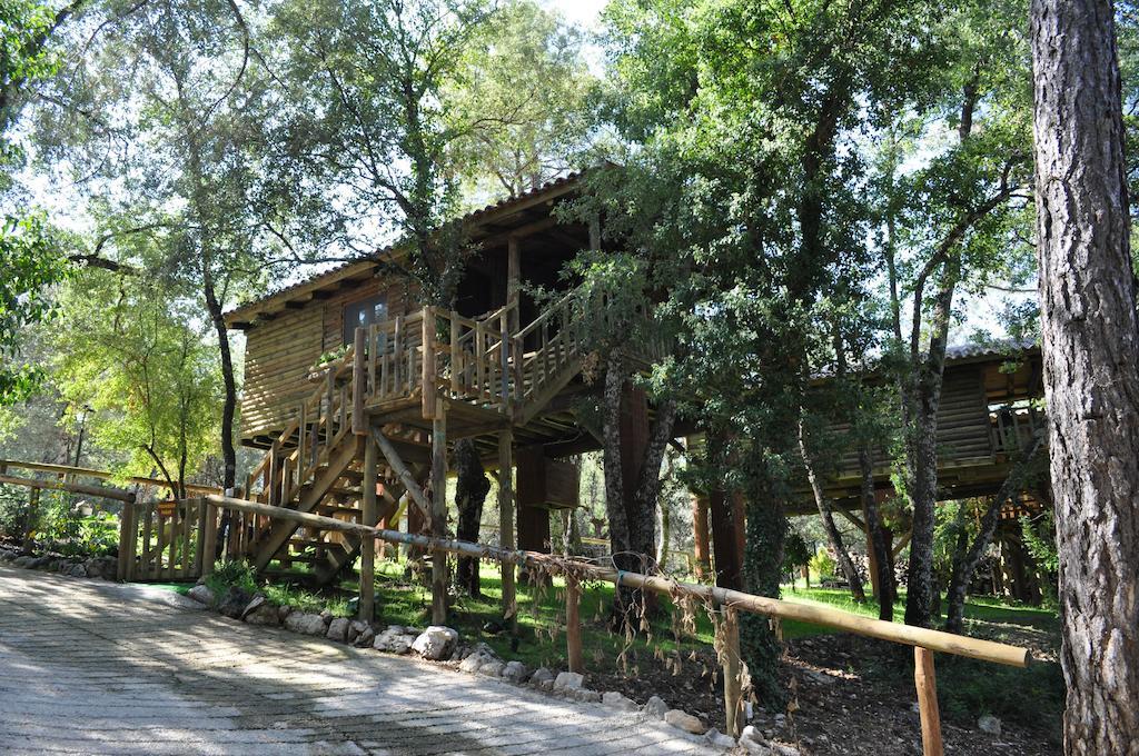 Los Nidos De Santa Maria Arroyo Frio Dış mekan fotoğraf