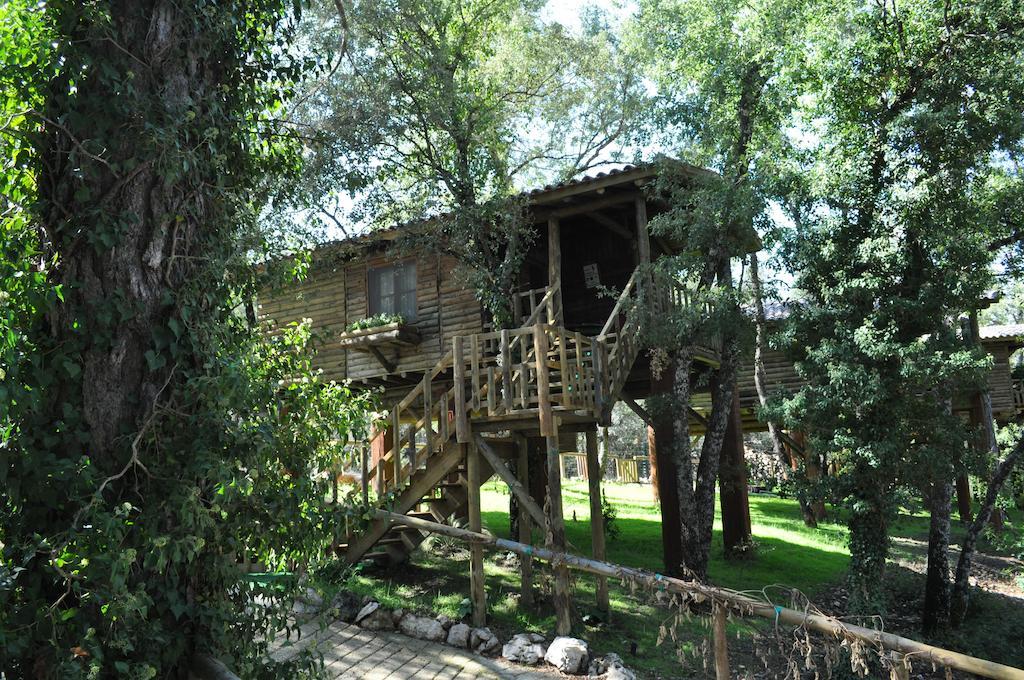 Los Nidos De Santa Maria Arroyo Frio Dış mekan fotoğraf